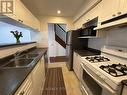 222 Freedom Private, Ottawa, ON  - Indoor Photo Showing Kitchen With Double Sink 