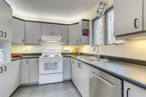Kitchen - 171 Ch. Holmes, Sutton, QC - Indoor Photo Showing Kitchen With Double Sink