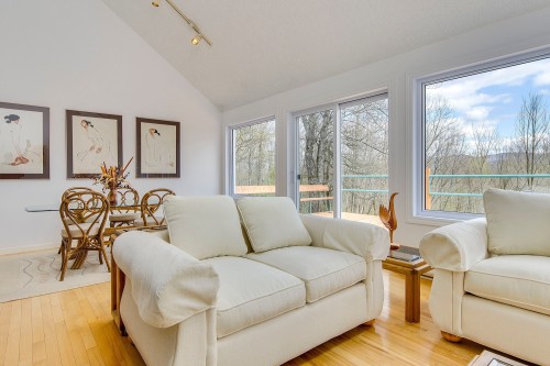 Living Room - 171 Ch. Holmes, Sutton, QC - Indoor Photo Showing Living Room