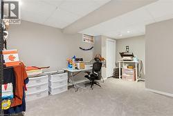Finished room featuring light gray carpeting and neutral painted walls - 