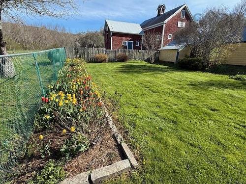 2939 221 Highway, Weston, NS - Outdoor