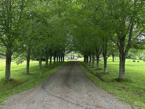 2939 221 Highway, Weston, NS - Outdoor With View