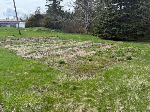 207 Bennetts Bay Road, Bennett Bay, NS 