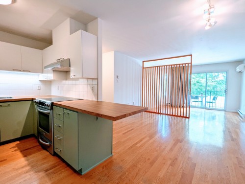 Intérieur - 208-1923 Rue Alexandre-Desève, Montréal (Ville-Marie), QC - Indoor Photo Showing Kitchen