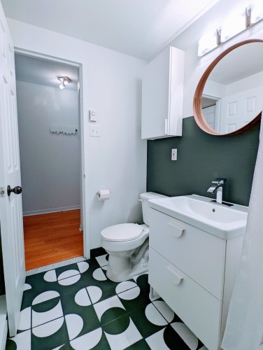 Salle de bains - 208-1923 Rue Alexandre-Desève, Montréal (Ville-Marie), QC - Indoor Photo Showing Bathroom