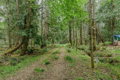 161 Holmes Rd, Salt Spring, BC 
