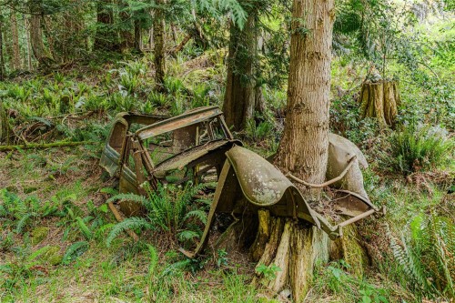 161 Holmes Rd, Salt Spring, BC 