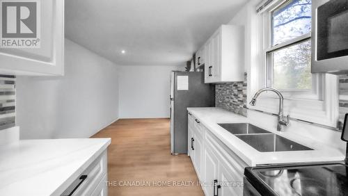 87 West 5Th Street, Hamilton, ON - Indoor Photo Showing Kitchen With Double Sink