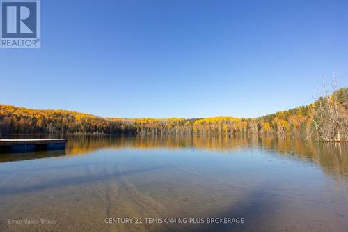 8 & 9 Beauchamp Rd 2 Road, Timiskaming (Tim - Outside - Rural), ON 