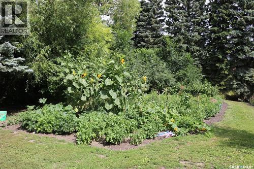 211 Pipestone Avenue, Wawota, SK - Outdoor