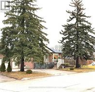 BASEMENT #2 - 385 MARYBAY CRESCENT  Richmond Hill, ON L4C 2X5