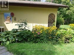 Summer photos - 