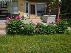 Deck surrounded by gardens - 