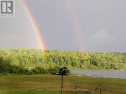 Rainbows - 