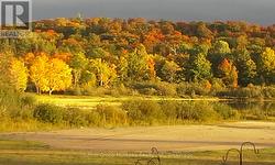 Fall views from Home/Cottage - 