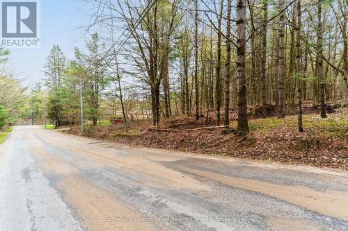 0 White'S Road, Muskoka Lakes (Medora), ON 