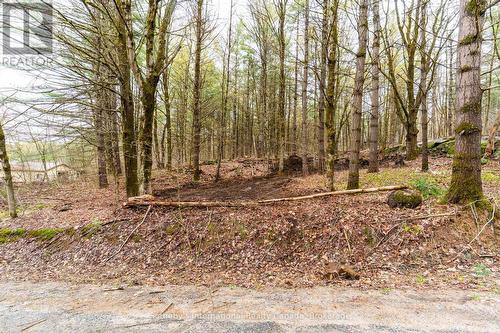 0 White'S Road, Muskoka Lakes (Medora), ON 