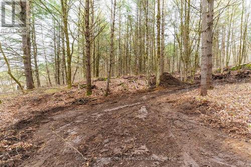 0 White'S Road, Muskoka Lakes (Medora), ON 