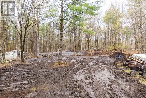 0 White'S Road, Muskoka Lakes (Medora), ON 