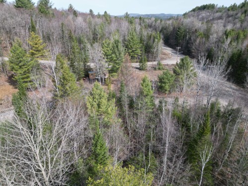 Vue d'ensemble - 317 Rue Laforest, Saint-Alphonse-Rodriguez, QC - Outdoor With View