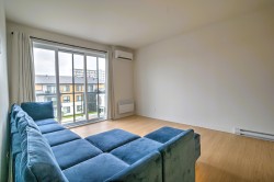 Living Room - 