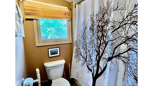 305 8Th Avenue, Nakusp, BC - Indoor Photo Showing Bathroom