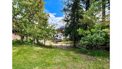 305 8Th Avenue, Nakusp, BC - Outdoor