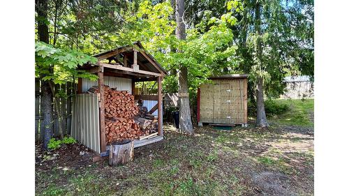 305 8Th Avenue, Nakusp, BC - Outdoor