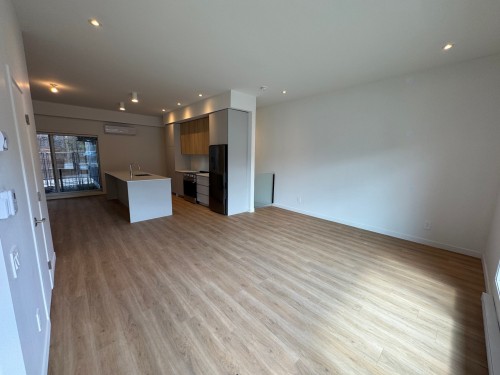 Living Room - 5971 Av. Papineau, Montréal (Rosemont/La Petite-Patrie), QC - Indoor