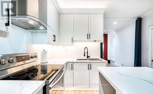 88 Niagara Street, Hamilton, ON - Indoor Photo Showing Kitchen With Upgraded Kitchen