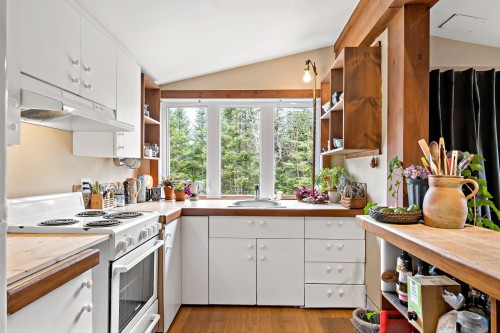 Cuisine - 85 Rue Belle-Étoile, Val-David, QC - Indoor Photo Showing Kitchen