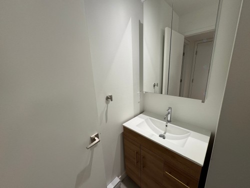 Salle de bains - 5963 Av. Papineau, Montréal (Rosemont/La Petite-Patrie), QC - Indoor Photo Showing Bathroom