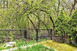 ravine - 