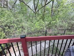 side ravine - 