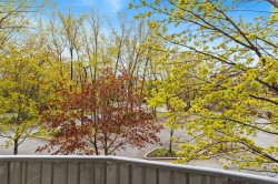 View - 