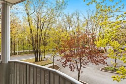 View - 