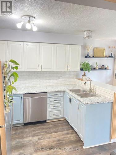 99 Windflower Drive, Kitchener, ON - Indoor Photo Showing Kitchen With Double Sink With Upgraded Kitchen