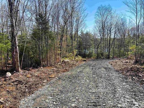 Lot 4 Walburne Road, Newburne, NS 
