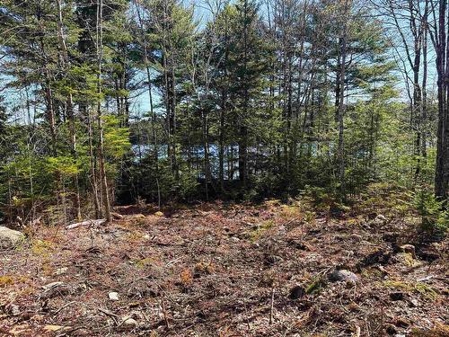 Lot 4 Walburne Road, Newburne, NS 