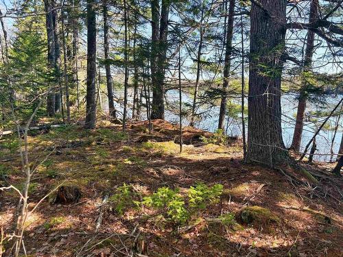 Lot 4 Walburne Road, Newburne, NS 