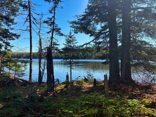 Lot 4 Walburne Road, Newburne, NS 
