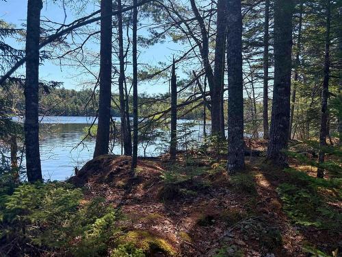 Lot 4 Walburne Road, Newburne, NS 