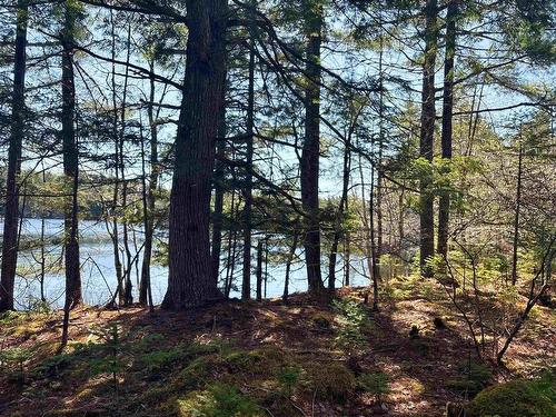 Lot 4 Walburne Road, Newburne, NS 