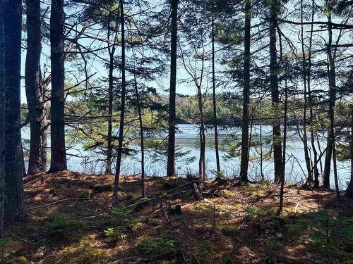 Lot 4 Walburne Road, Newburne, NS 
