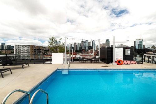 Piscine - 404-1552 Rue Des Bassins, Montréal (Le Sud-Ouest), QC - Outdoor With In Ground Pool