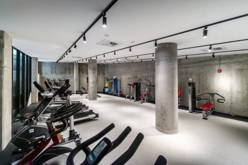 Salle d'exercice - 404-1552 Rue Des Bassins, Montréal (Le Sud-Ouest), QC - Indoor