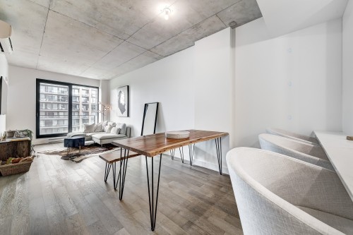 Vue d'ensemble - 404-1552 Rue Des Bassins, Montréal (Le Sud-Ouest), QC - Indoor
