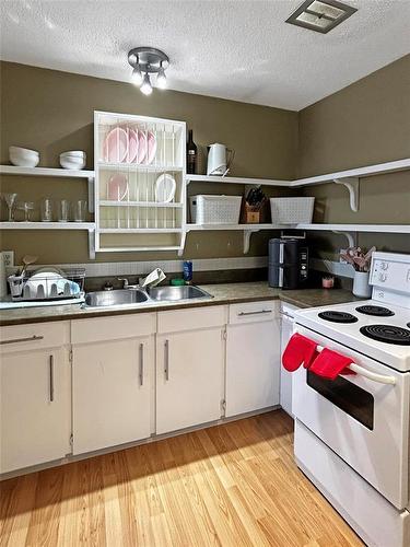17 Empress Bay, Brandon, MB - Indoor Photo Showing Kitchen With Double Sink