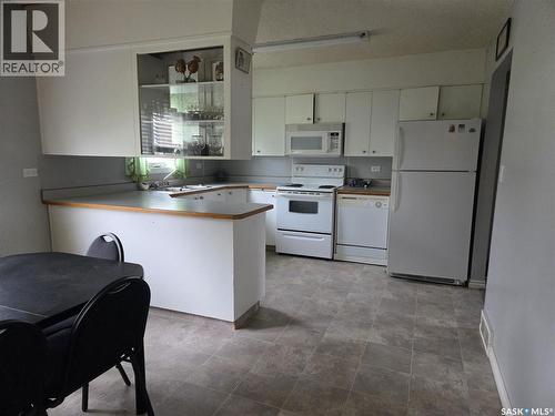 249 Sixth Street Ne, Wadena, SK - Indoor Photo Showing Kitchen