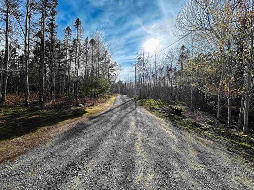 41 Thomas Street, Enfield, NS 